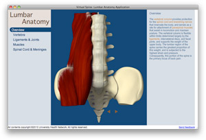 screen capture of Virtual Spine Lumbar Anatomy module
